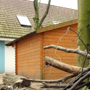 Unklare Zukunft fĂŒr die "Singdrossel" Unklare Zukunft fĂŒr die "Singdrossel"