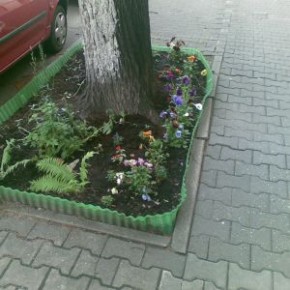 Keine Umwandlung von Parzellen über die Köpfe der Kleingärtner hinweg Keine Umwandlung von Parzellen über die Köpfe der Kleingärtner hinweg
