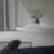 saal